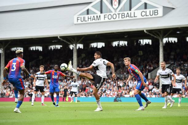 迅速成为曼 迅速成为曼