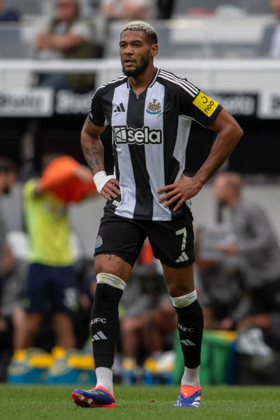 本罗提供了 本罗提供了