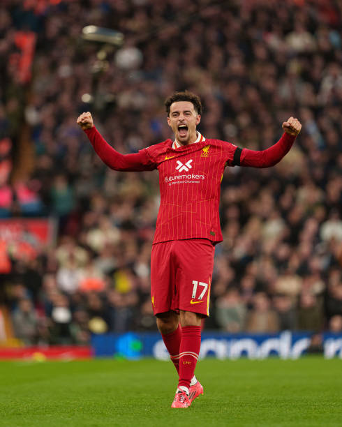 展的关注 展的关注